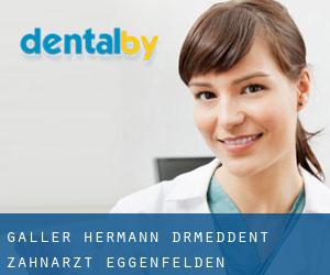Galler Hermann Dr.med.dent. Zahnarzt (Eggenfelden)