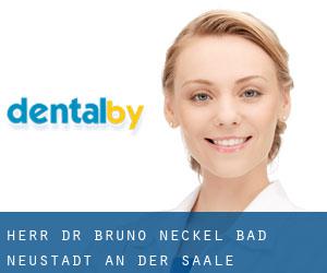 Herr Dr. Bruno Neckel (Bad Neustadt an der Saale)